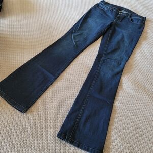 Ann Taylor Jeans